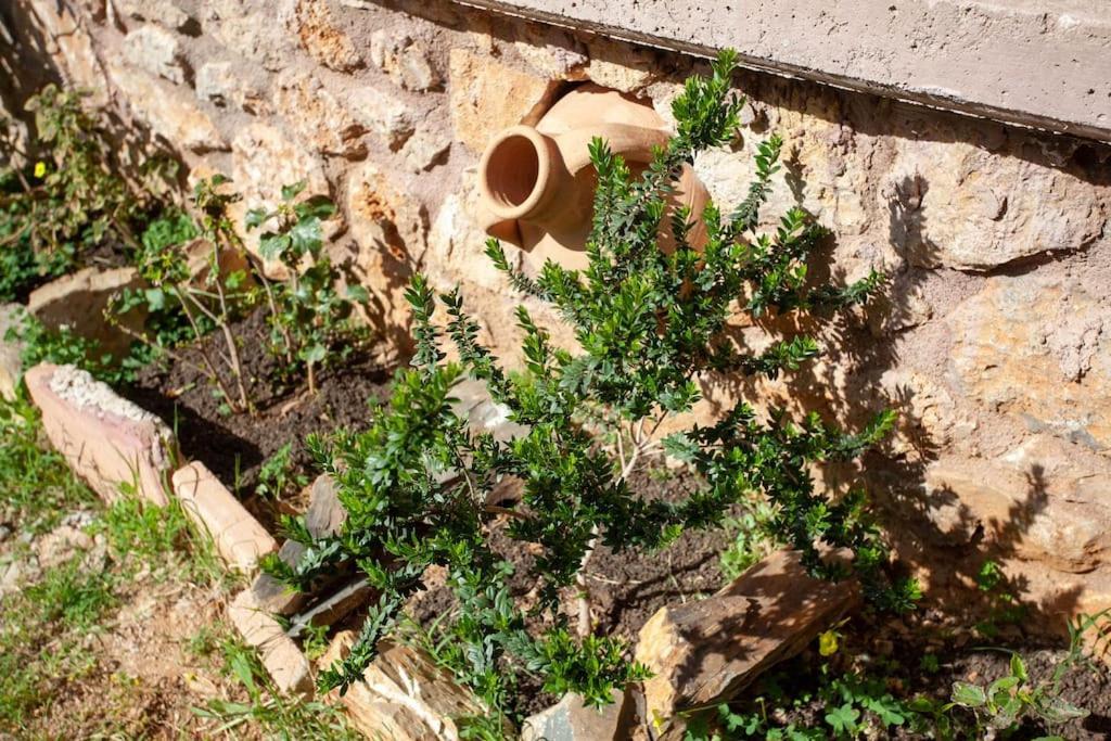 Chania Paradise Retreat Rodhopos Zewnętrze zdjęcie